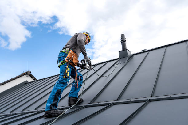 Best Roof Maintenance and Cleaning  in French Lick, IN